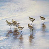 Sand Dancers Square Fine Art Print