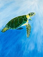 Green Turtle Fine Art Print