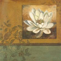 White Nature II Framed Print