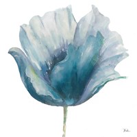 Flower in Blue I (on white) Fine Art Print