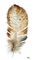 White Watercolor Feather II Framed Print