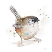Watercolor Mountain Bird I Framed Print
