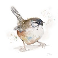Watercolor Mountain Bird I Fine Art Print