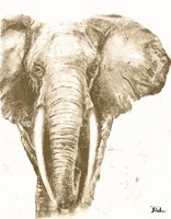 Muted Elephant Fine Art Print