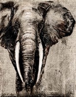 Elephant on Newspaper Fine Art Print
