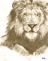 Muted Lion Fine Art Print