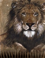 Brown Lion Fine Art Print