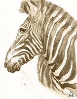 Muted Zebra Fine Art Print