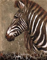 Brown Zebra Fine Art Print