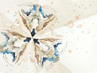 Constellation Fine Art Print