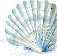 Water Shell Framed Print