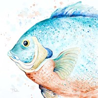 Water Fish Fine Art Print