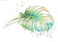 Tropical Monstera Fine Art Print