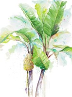Watercolor Banana Plantain Fine Art Print