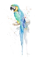 Watercolor Parrot Fine Art Print