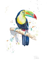 Watercolor Toucan Fine Art Print