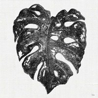 Dark Leaf Palm II Framed Print