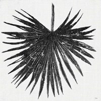 Dark Leaf Palm I Framed Print