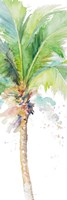 Watercolor Coconut Palm Panel Fine Art Print
