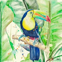 Colorful Toucan Fine Art Print