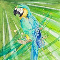 Colorful Parrot Fine Art Print