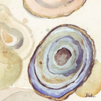 Agates Flying Square II Fine Art Print