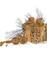 Present with Dots Fine Art Print