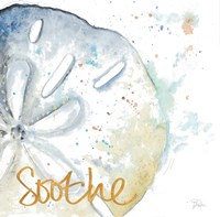 Soothe Water Sand Dollar Fine Art Print