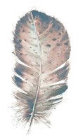 Pastel Feather I Fine Art Print