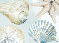 Shell Collectors Fine Art Print
