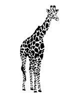 Giraffe Fine Art Print