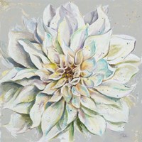 Grey Dahlias II Fine Art Print