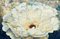 Zuzu Peony of Navy and Gold Fine Art Print