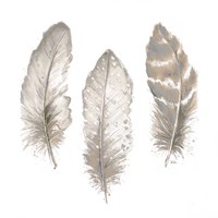 Neutral Watercolor Feathers II Fine Art Print