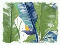 Fresh Banana Plantain Vibrant Fine Art Print