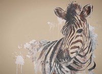 Sandstone Zebra Fine Art Print