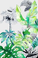 Teal Palm Selva I Fine Art Print