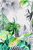 Teal Palm Selva II Framed Print