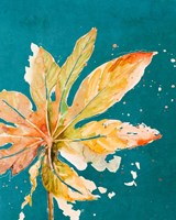 Palma Nueva on Teal Framed Print