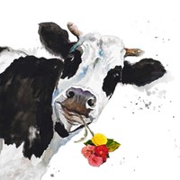 Crazy Cow Fine Art Print
