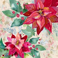 Holiday Poinsettia II Framed Print