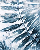 Blue Jungle Leaf II Fine Art Print