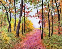 Autumn's Poetry Fine Art Print