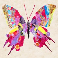 Brilliant Butterfly II Fine Art Print