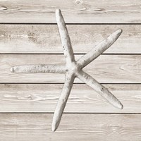 Sand and Sea on Wood II Fine Art Print