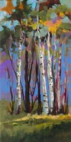 Birch Trees Fine Art Print