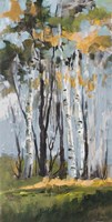 Golden Birch Trees Fine Art Print