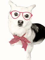 Pop of Flair Fine Art Print