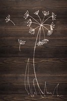 Late Blooms I Fine Art Print