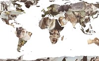 World Animals Map Fine Art Print
